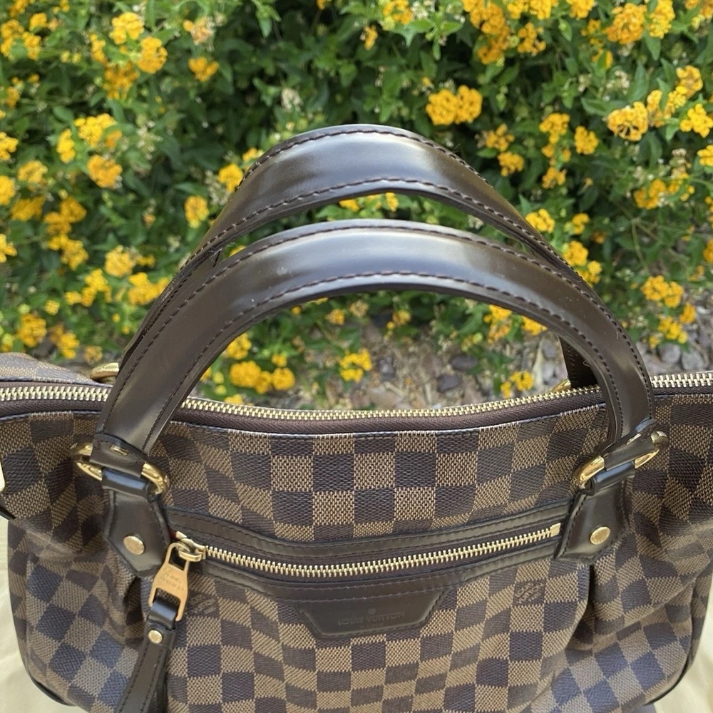 Louis Vuitton Brown and Black Hobo with Damier Ebene Canvas - Picture 10 of 12